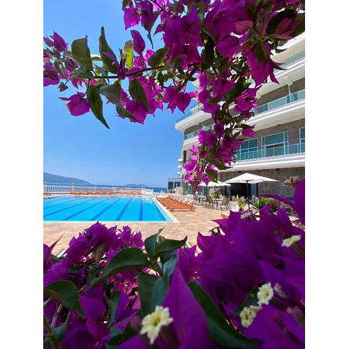 Toto Hotel & Apartments