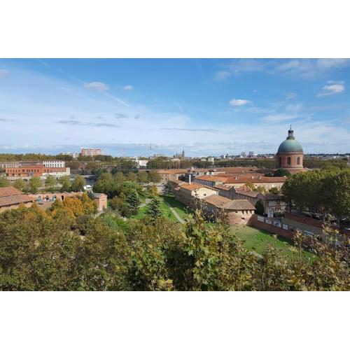 Toulouse - Panoramic View