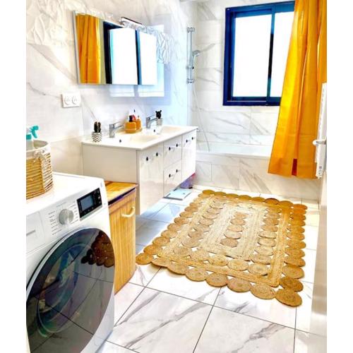 Toulouse vaste appartement très lumineux
