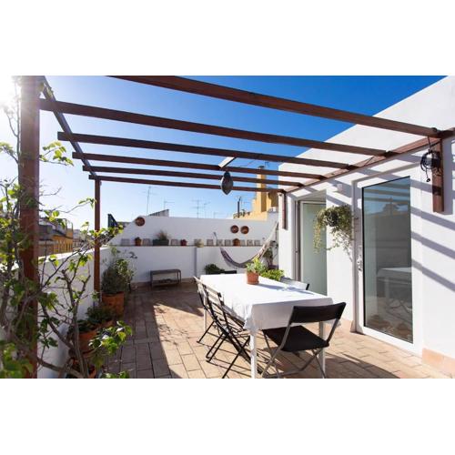 Town house with rooftop terrace
