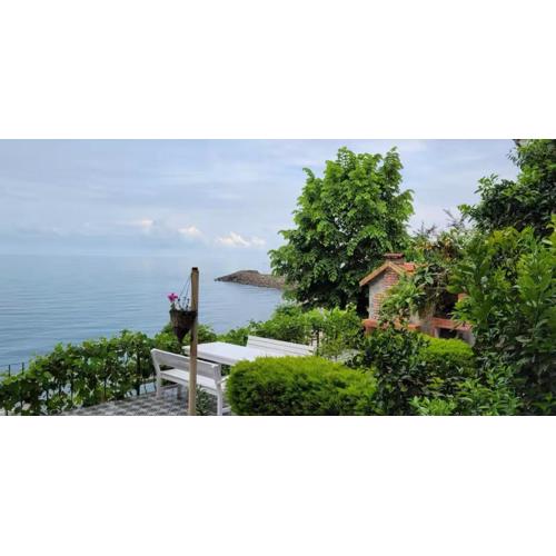 Trabzon Villa