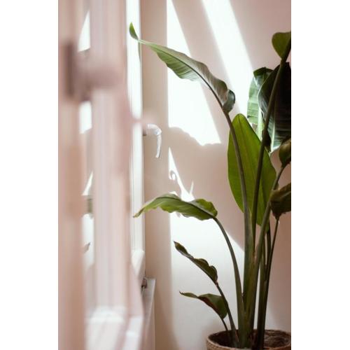 Trame Urbane Apartment
