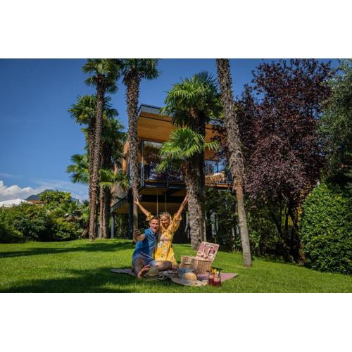 TreeLodgy, The Tree House