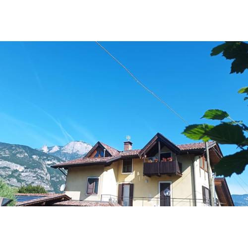 Trento Green