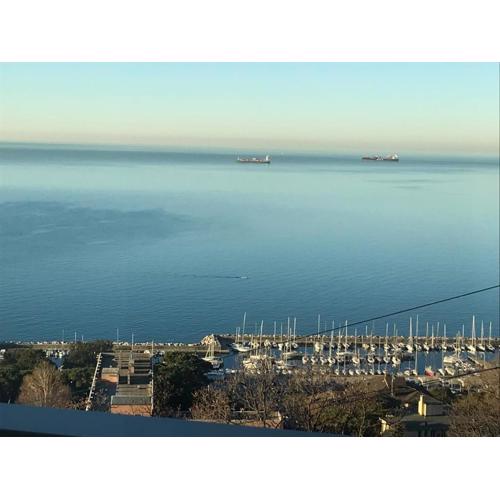 Trieste Sea Life