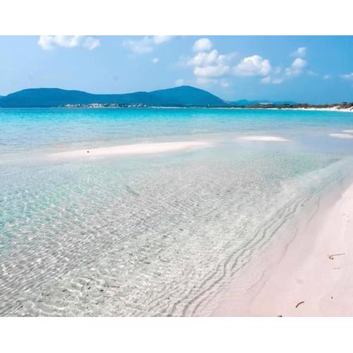 Trilocale in Seminterrato a 150mt da Spiaggia Lido Alghero