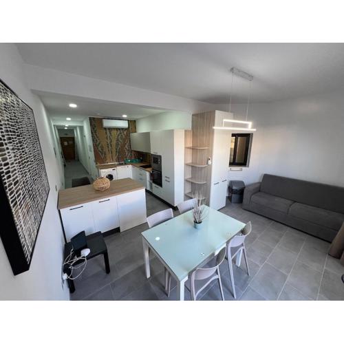 Triton Mansion D26 - Entire Unit