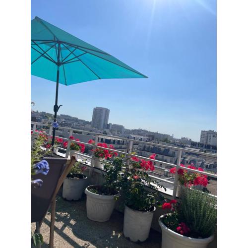 Trois pièces sur parc de la Villette Terrasse et vues