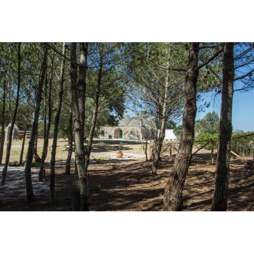 TRULLI CONTI Grande spazio alberato incontaminato- prenotazione esclusiva