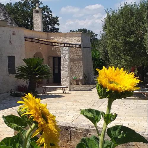 Trulli: La pace dei sensi