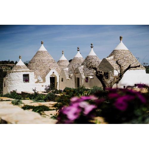 Trulli Pinacea