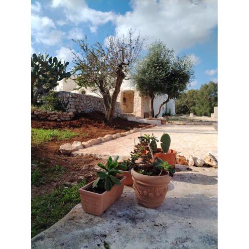 Trullo Amedee