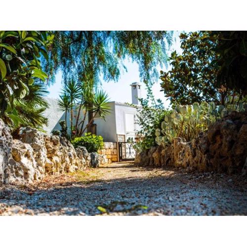 Trullo Cittadino apartment with pool in Cisternino