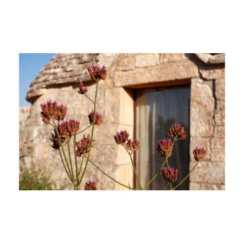 Trullo di Luna