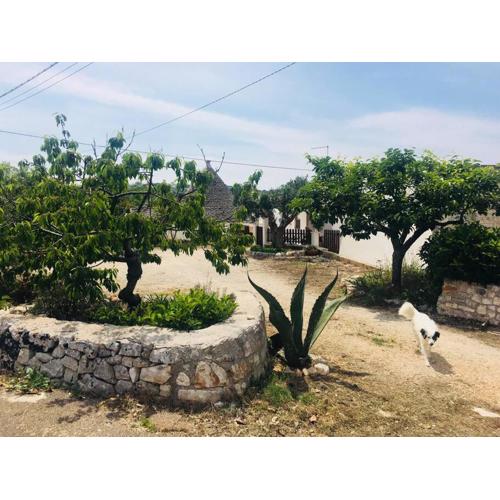 Trullo House
