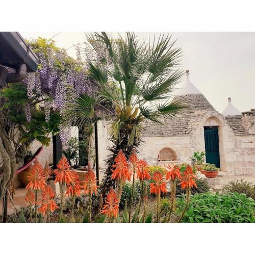 Trullo la glycine