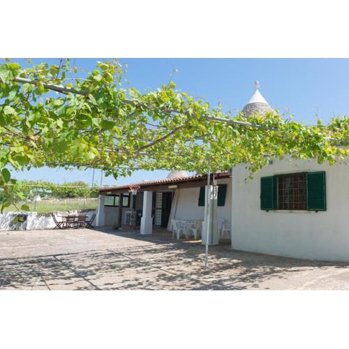 TRULLO LA GRANDE PERGOLA