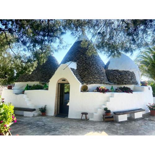 Trullo Le radici del Pino