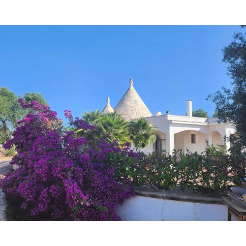 Trullo LuCe Ostuni