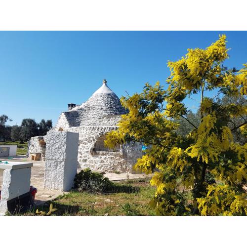 Trullo magico