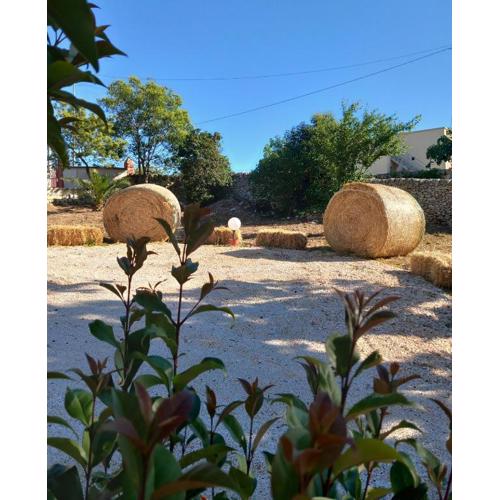 Trullo martina