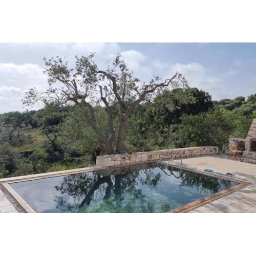Trullo Piccola Lucertola in Valle d’Itria…