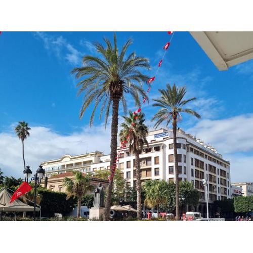 Tunis medina