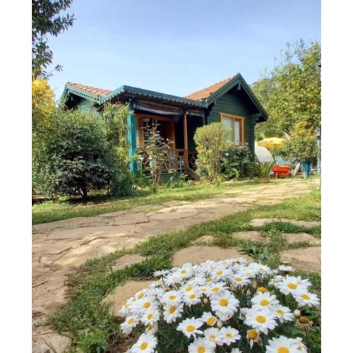 Turkuaz Bungalows