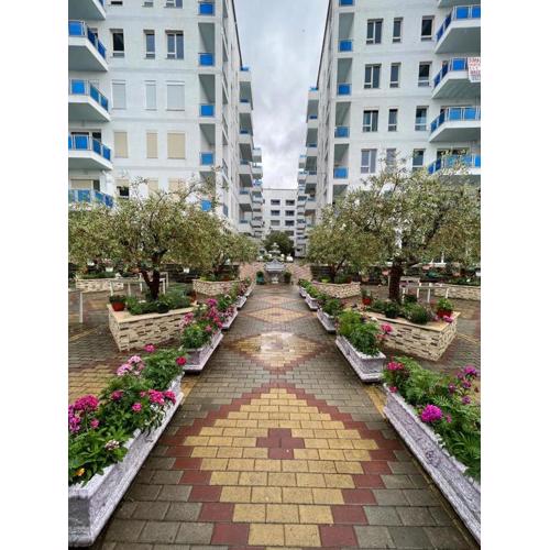 Tushemisht Apartment Rent 2