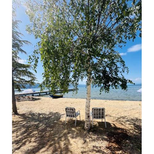 Tushemisht Lake View Studio Apartment