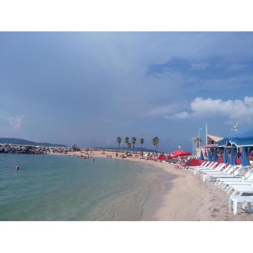 Typical Toulon apartment 50M beaches
