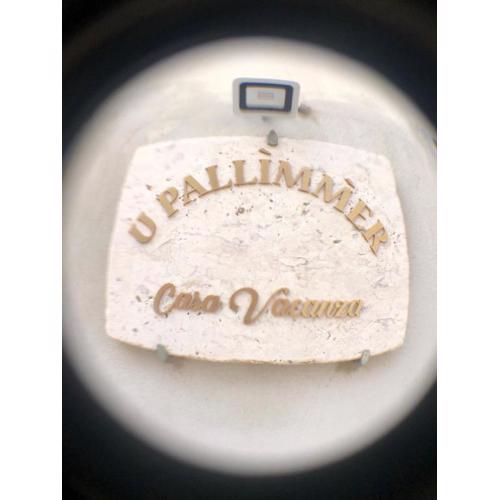 U pallimmer