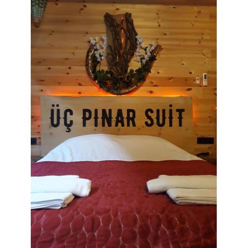 Üç Pınar Cafe Bungalov & Restorant