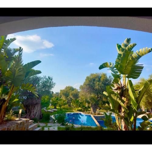 Umayra Boutique Hotel