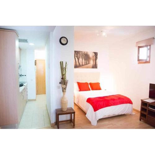 Un ideal estudio para conocer Madrid
