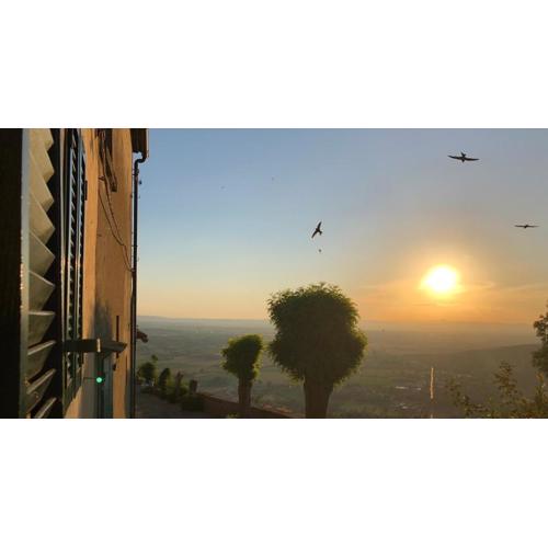 Una pausa tè per l\