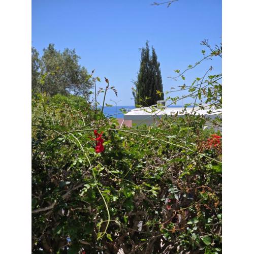 Urban oasis next to the beach