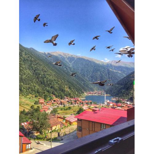 Uzungöl Özbek Apart ve Kafe