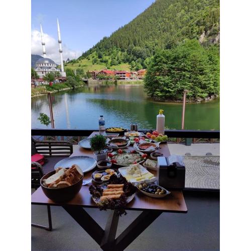 Uzungol The Are Otel