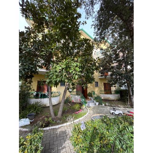 Vacation Apartments Garden