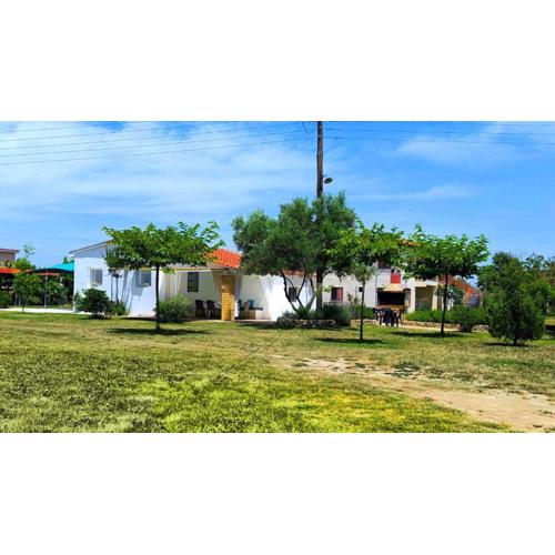Vagias Suite