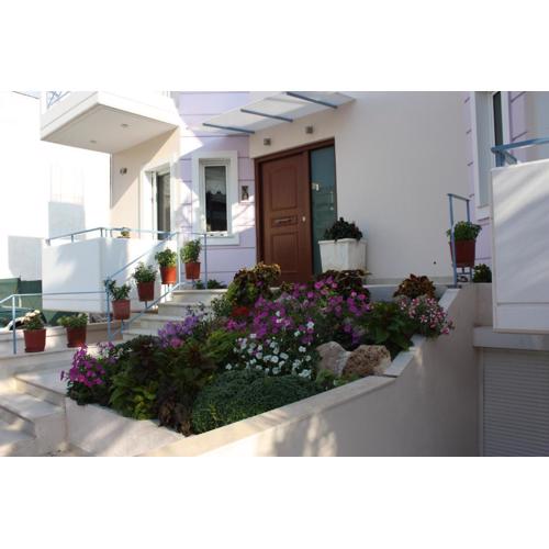 Veggie Garden Athens B&B