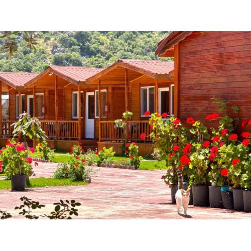 Venüs Gold Bungalov Adrasan