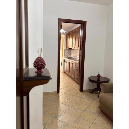 Veterani House 33