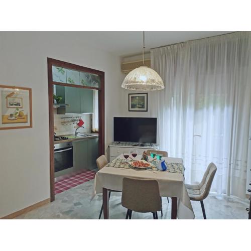 Viale VSM 108