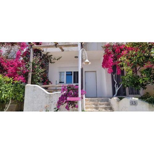 Vila 15 Bougainville