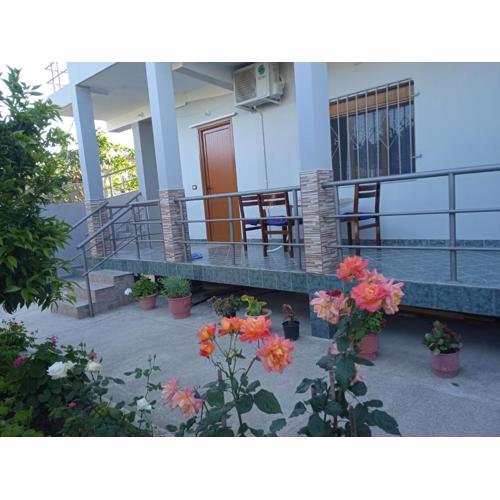 Vila N Dervishi