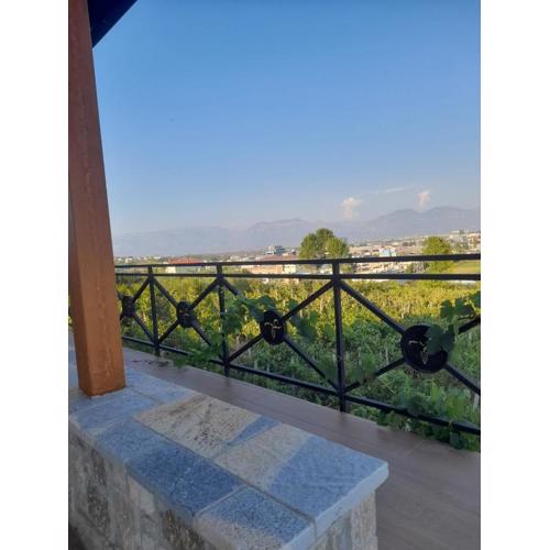 Vila Shehi Guesthouse and Winery