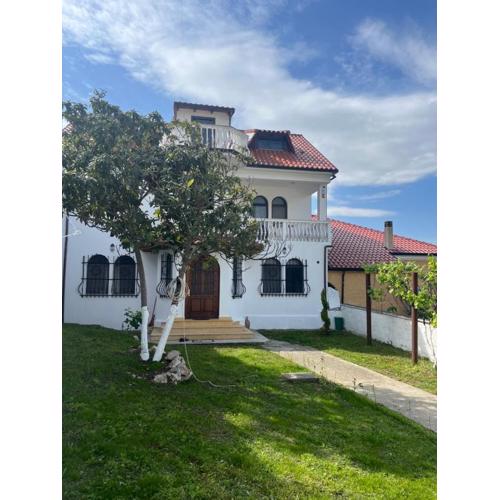 Vila Taga Guesthouse