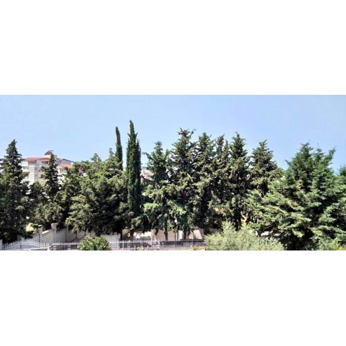 Vila Tahiri